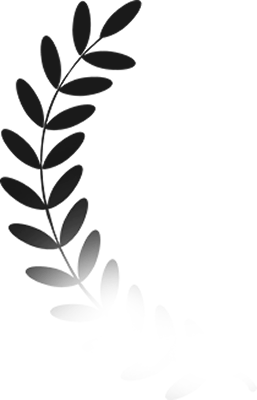 faqs1-illus-1