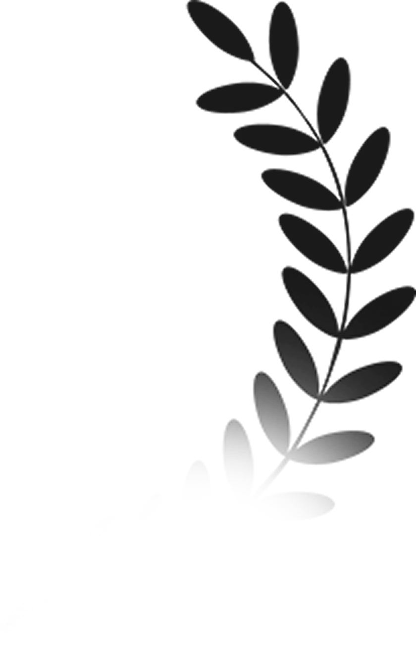 faqs1-illus-2